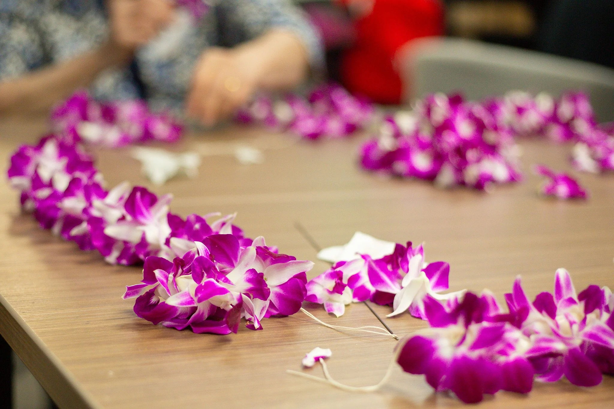 About The ARCC - KALO HCC – Ka ʻAha Lāhui O ʻOlekona Hawaiian
